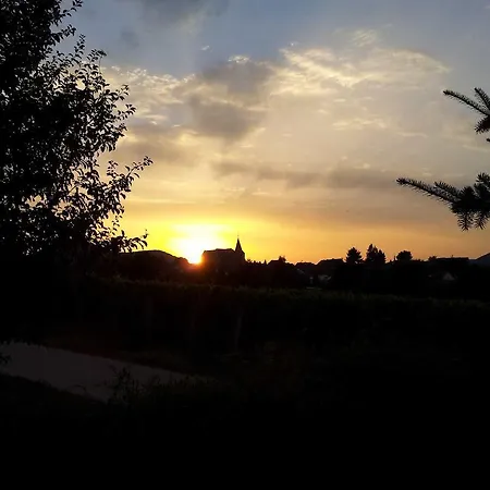 酒店 Gaestehaus Kleine Kalmit