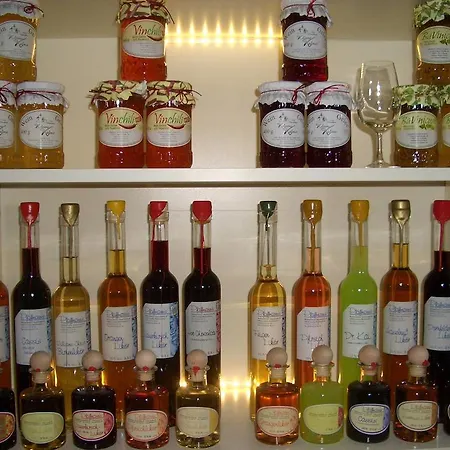 Hotel Gastehaus Kleine Kalmit Landau in der Pfalz