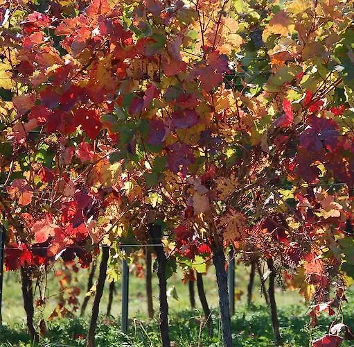 Gaestehaus Kleine Kalmit