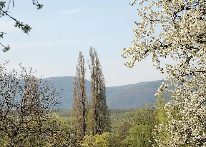 酒店 Gaestehaus Kleine Kalmit 3*