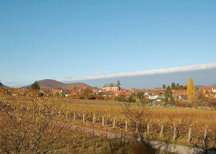 Gaestehaus Kleine Kalmit 朗道因德普法尔茨