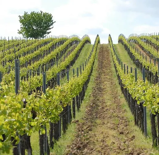 Hotel Gastehaus Kleine Kalmit